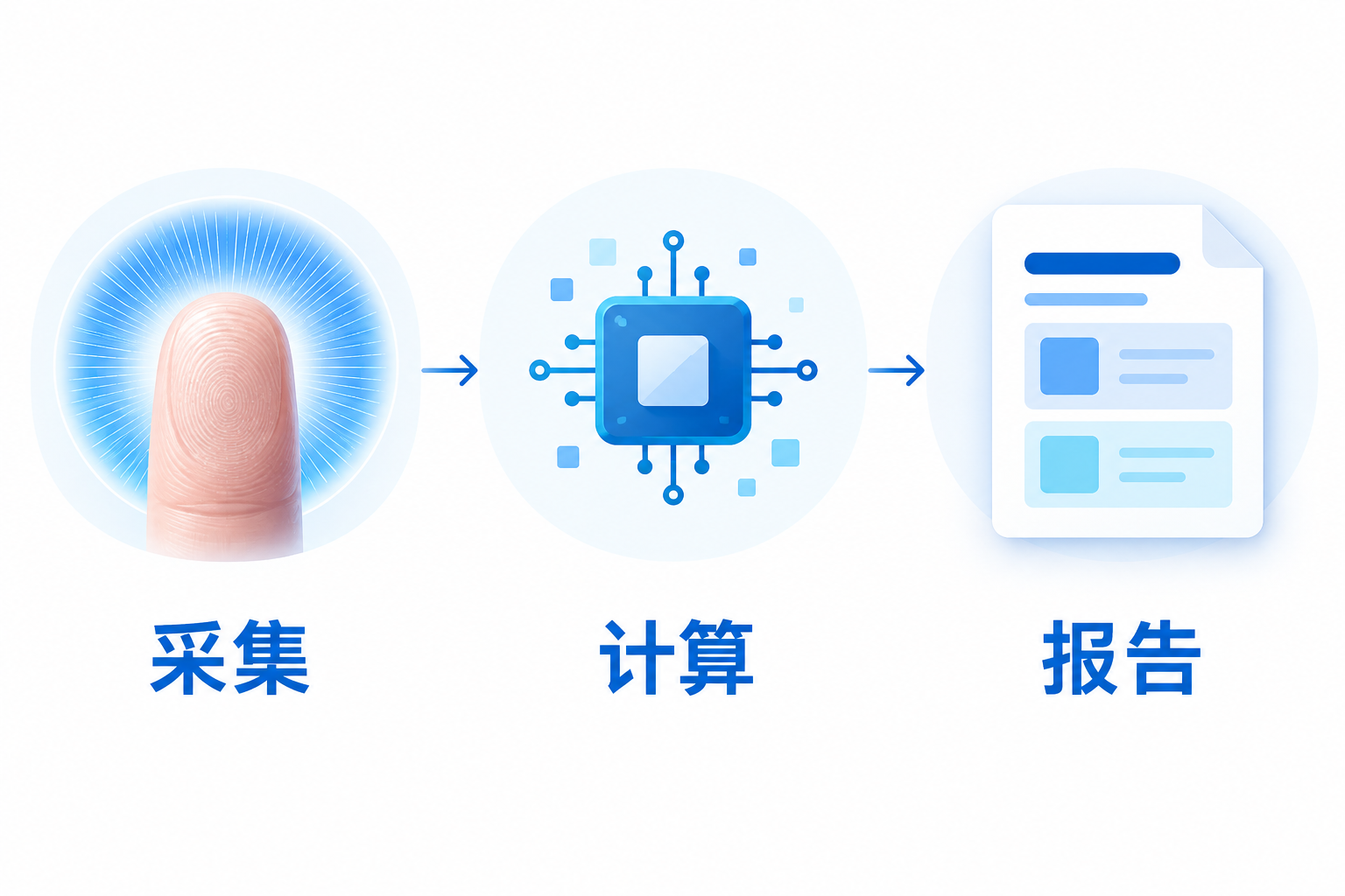 从采集到计算，再到报告｜AI绘制的流程示意。